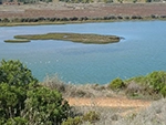 Alvor Nature